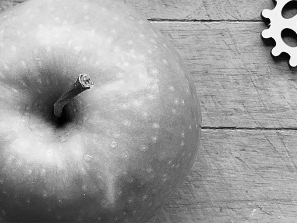 Under the Hill Part 4: under the&nbsp;hill